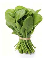 AI generated Bunch of spinach isolated on white background. photo