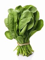 AI generated Bunch of spinach isolated on white background. photo