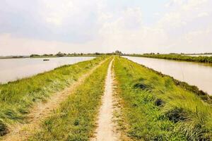 a long dirt road leads to a body of water photo