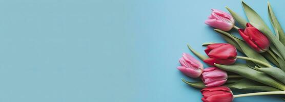 AI generated Bouquet of red tulip on blue Background. Top view with copy space. photo