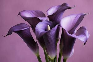 AI generated Bouquet of purple calla lilies against purple background.AI Generated photo