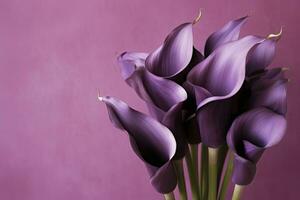 AI generated Bouquet of purple calla lilies against purple background.AI Generated photo