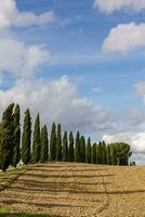 Famous Tuscany landscape with curved road and cypress, Italy, Europe. Rural farm, cypress trees, green field, sunlight and cloud. photo