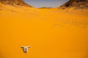 paisaje de Sáhara Desierto en Egipto. conceptual para libertad, disfrutando el viaje. foto