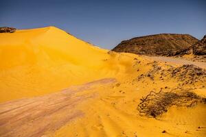 Landscape of sahara desert in Egypt. Conceptual for freedom, enjoying the journey. photo
