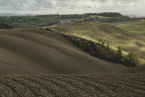 Harvested Fields and meadows landscape in Tuscany, Italy. Wavy country scenery at autumn sunset. Arable land ready for the agricultural season. photo