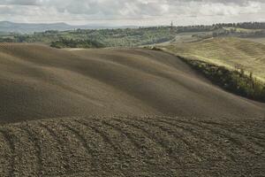 Harvested Fields and meadows landscape in Tuscany, Italy. Wavy country scenery at autumn sunset. Arable land ready for the agricultural season. photo