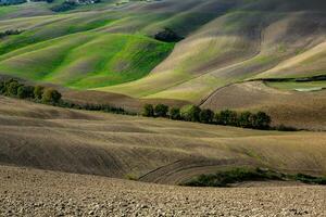 Harvested Fields and meadows landscape in Tuscany, Italy. Wavy country scenery at autumn sunset. Arable land ready for the agricultural season. photo