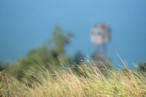 Lifeguard tower in the middle of a meadow photo