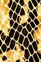 a close up of a snake skin pattern photo