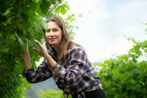 Portrait of a young woman in the vineyard with little grapes photo