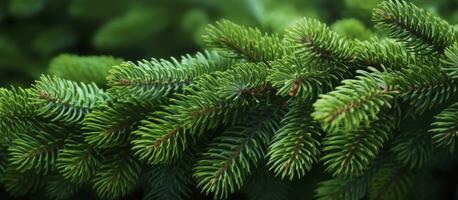 AI generated Close up view of a Christmas tree branches on a natural background. photo