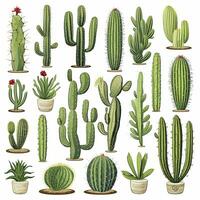 AI generated The Cactus set on white background. Clipart illustrations. AI Generated photo