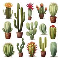 ai generado el cactus conjunto en blanco antecedentes. clipart ilustraciones. ai generado foto