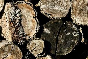 a pile of wood that has been cut into pieces photo