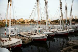 Nile the longest river in Africa. Primary water source of Egypt. Landscape with clear water river. photo