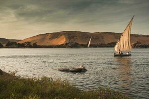 Nile the longest river in Africa. Primary water source of Egypt. Landscape with clear water river. photo