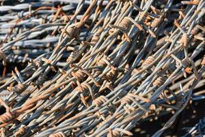 a pile of barbed wire photo