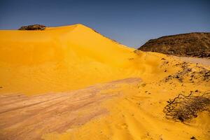 Landscape of sahara desert in Egypt. Conceptual for freedom, enjoying the journey. photo