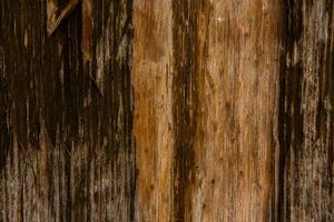 Old wood texture background, surface with old natural colored wood, top view. Grain table surface. photo