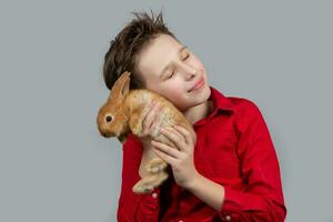 A boy in a red shirt is holding a red rabbit on a gray background. photo