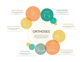 Orthoses infographic, vector icon line illustration