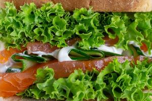 Sandwich with fresh salmon, lettuce, cucumber and sauce. Homemade. Healthy fast food.  Close-up photo