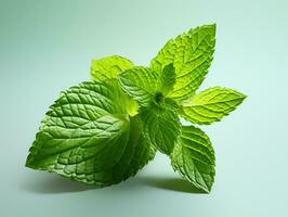 AI generated Mint leaf. Fresh mint on white background. Mint leaves isolated. Full depth of field. photo