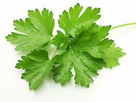 AI generated parsley fresh leaves photo