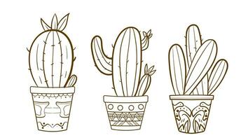 Hand drawn outline cactus set. Cactus plants nature elements cactus outline sketch. cactus drawing. cactus plants line art background. vector