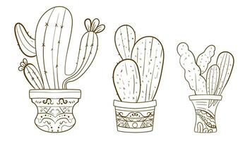 Hand drawn outline cactus set. Cactus plants nature elements cactus outline sketch. cactus drawing. cactus plants line art background. vector