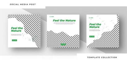 Feel the nature world environment day of nature promotion banner social media. Pro Vector