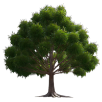 AI generated American chestnut tree isolated on transparent background png