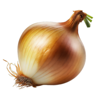 AI generated onions isolated on transparent background png