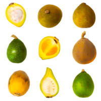 AI generated Ambarella sliced isolated on transparent background png