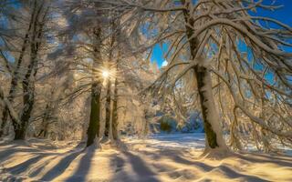 AI generated Winter Whispers, Enchanting Snow-Kissed Woodland Landscape Captures the Majestic Beauty of a Serene Frozen Forest Scene photo