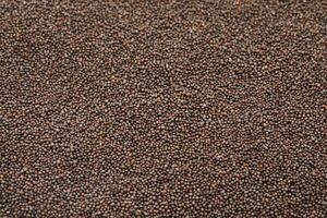 Brown Mustard Seeds photo