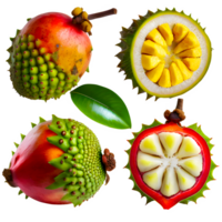 AI generated Kemang fruit sliced isolated on transparent background png