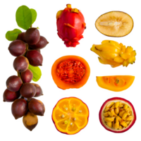 AI generated Gowok fruit sliced isolated on transparent background png