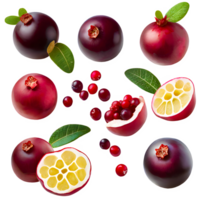 AI generated Cranberry sliced isolated on transparent background png