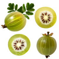 AI generated gooseberry sliced isolated on transparent background png