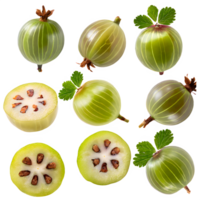 AI generated gooseberry sliced isolated on transparent background png