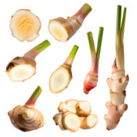 AI generated Fresh galangal sliced isolated on transparent background png