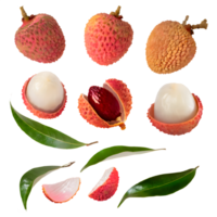 AI generated Fresh lychee sliced isolated on transparent background png