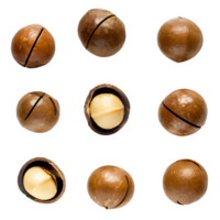 ai generiert Macadamia Nüsse isoliert auf transparent Hintergrund png