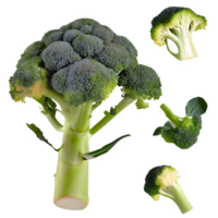 AI generated broccoli sliced isolated on transparent background png