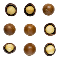 ai genererad macadamia nötter isolerat på transparent bakgrund png