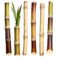 AI generated Sugarcane isolated on transparent background png