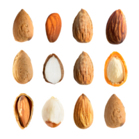 ai généré amandes isolé sur transparent Contexte png