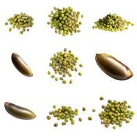 ai gegenereerd mung Boon zaden geïsoleerd Aan transparant achtergrond png